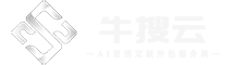 选品策划-运营执行-项目陪跑牛搜云